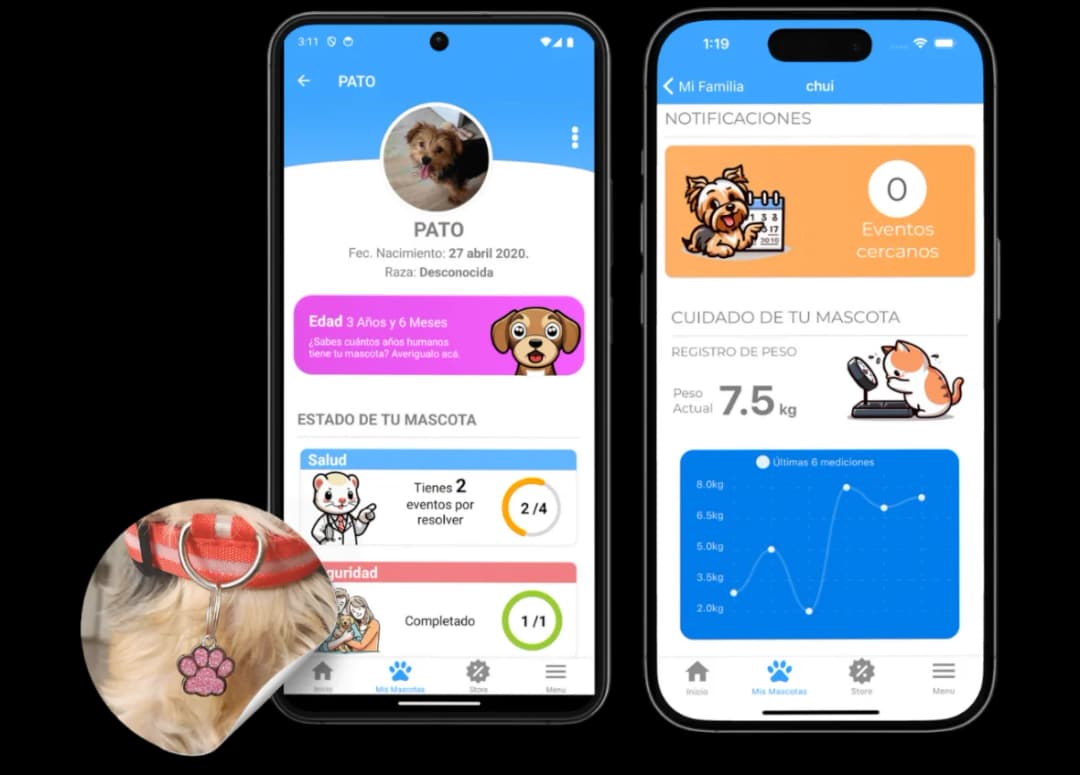 ¿Por qué elegir Bitpet?